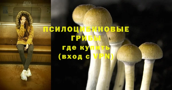 mdpv Новокубанск