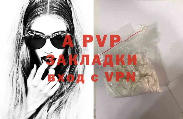 прущие крисы Корсаков