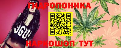 PSILOCYBIN Апшеронск