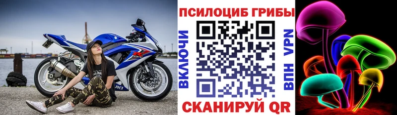 наркота  hydra как войти  Псилоцибиновые грибы прущие грибы  Выборг 