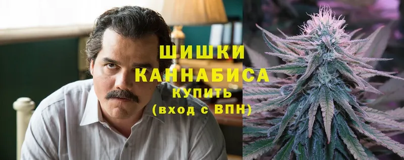 Бошки марихуана SATIVA & INDICA  Выборг 