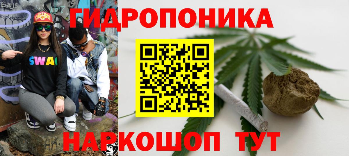 Бошки марихуана конопля Выборг